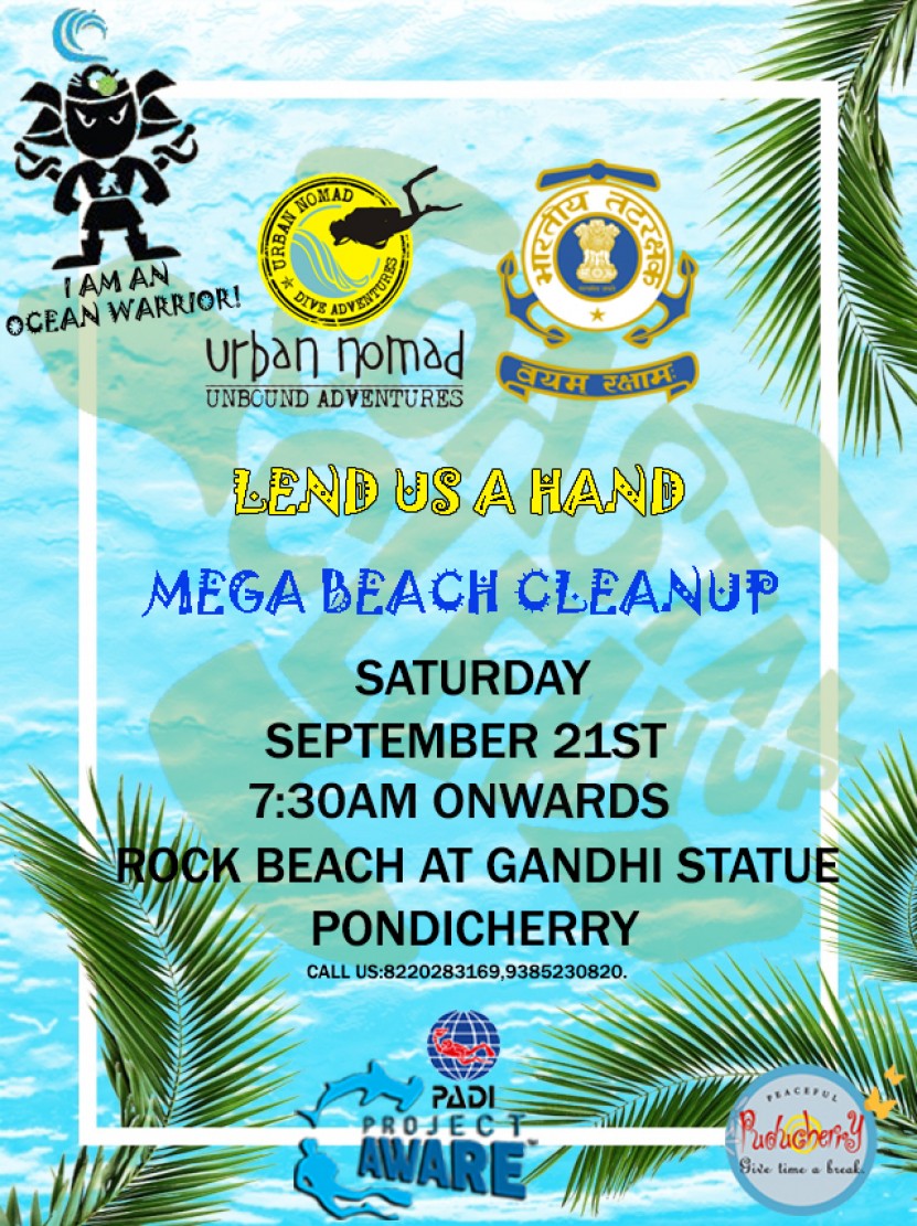 beach clean up 