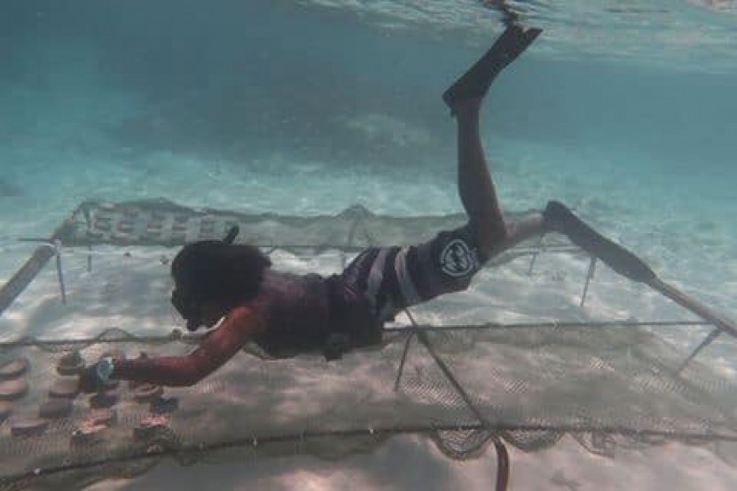 Young people taking action for coral reef conservation in Maldives