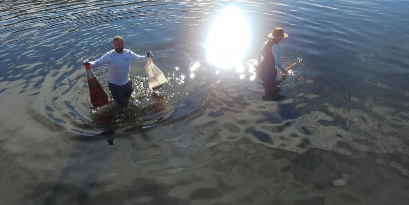 Looking for marine debris