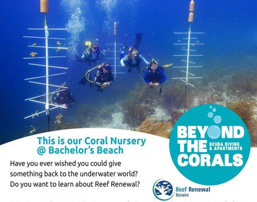 Clean coral nursery in bonaire with beyond the corals