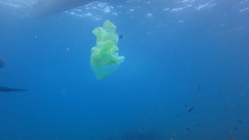 Plastic bag floating around a fish sanctuary in Lapu-Lapu