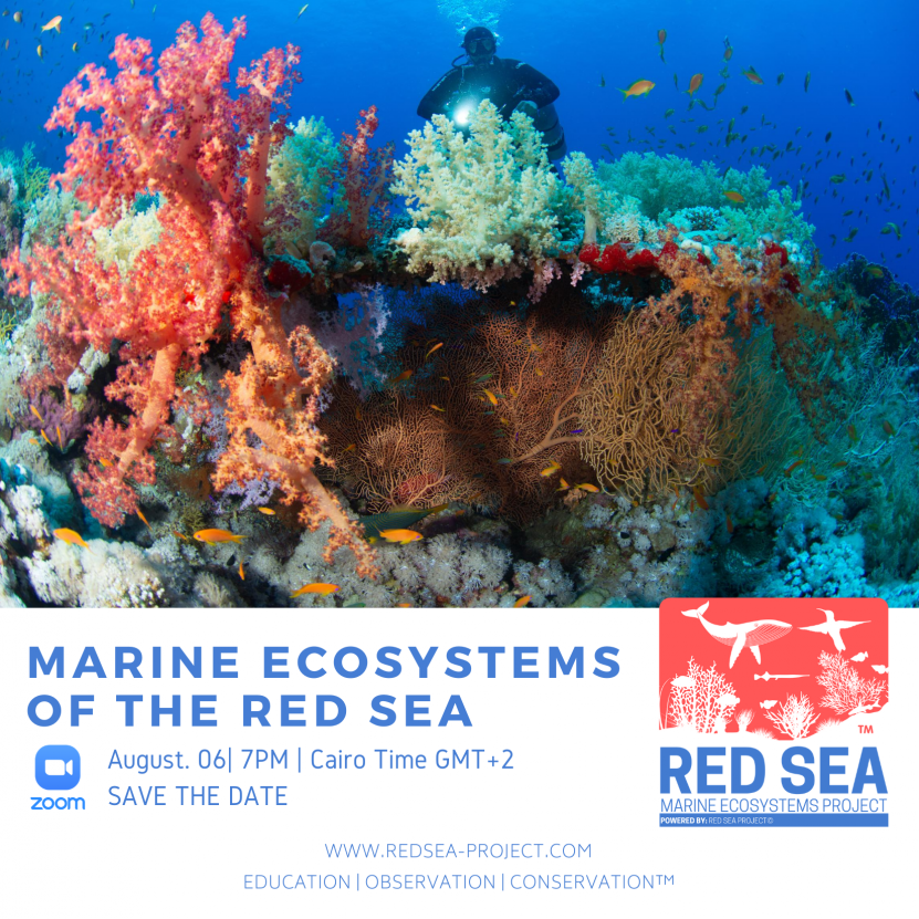 Red Sea Marine Ecosystems Project - Marine Ecosystems Webinar - Red Sea Project