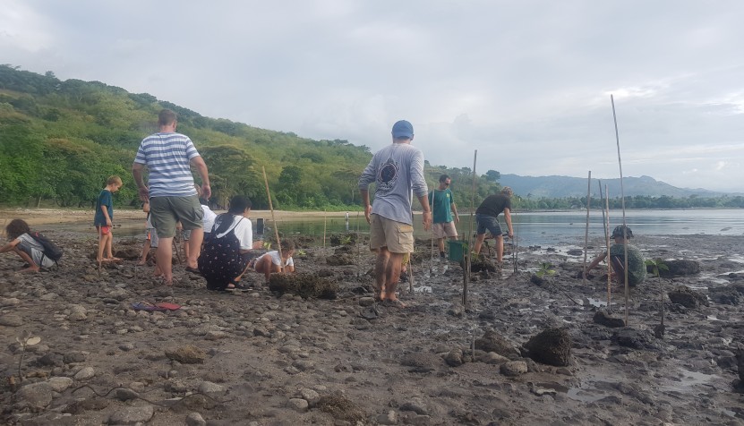  A school group planting mangrove seedlings