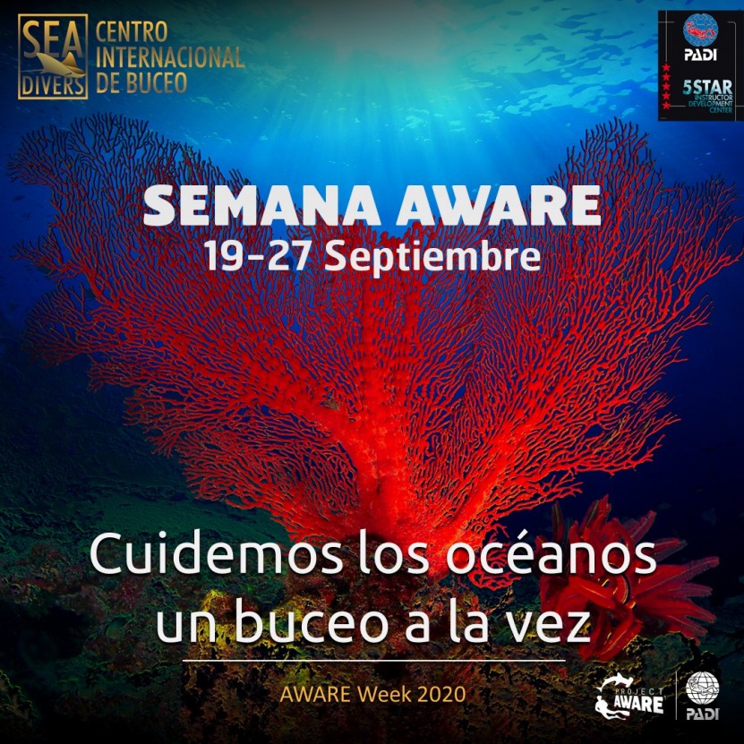 Semana AWARE | 19 al 27 de septiembre