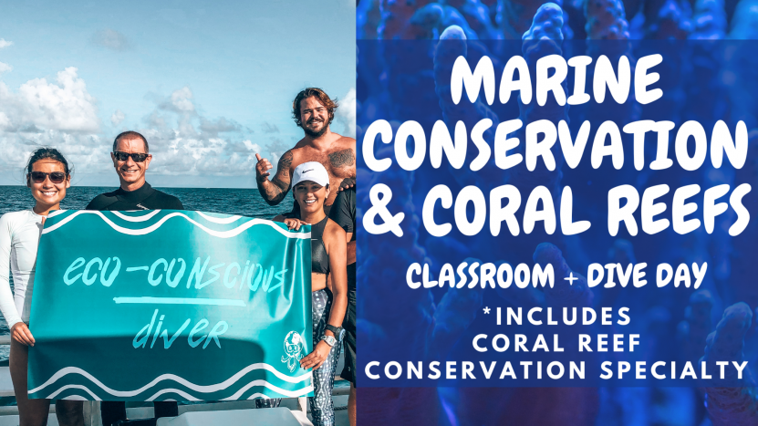 Marine Conservation & Coral Reefs