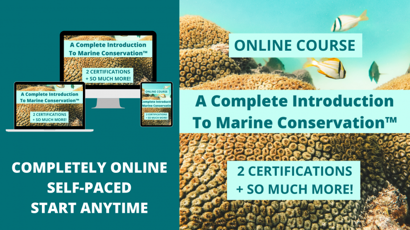 A Complete Introduction To Marine Conservation™ ONLINE COURSE