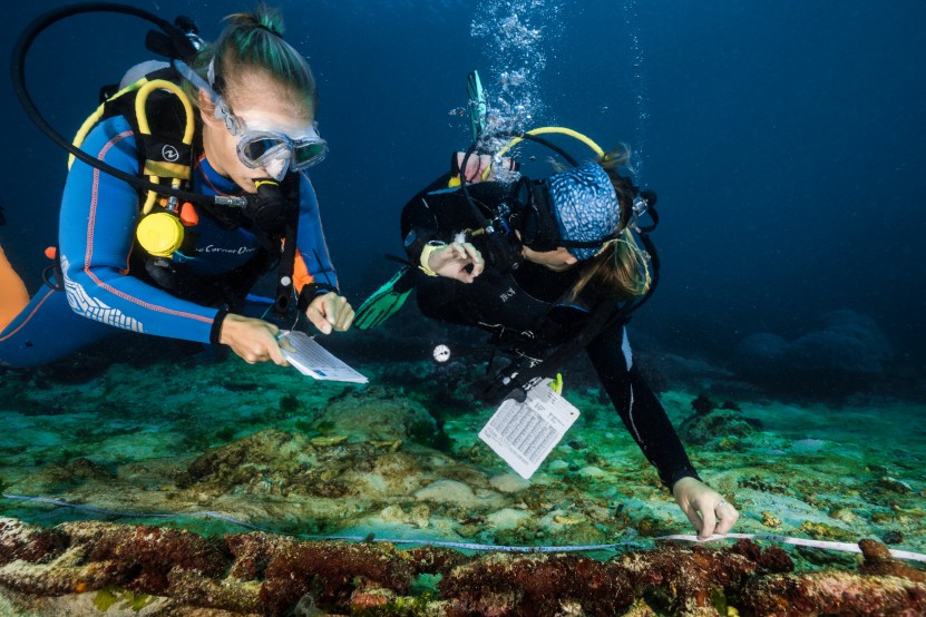 Reef Check Training