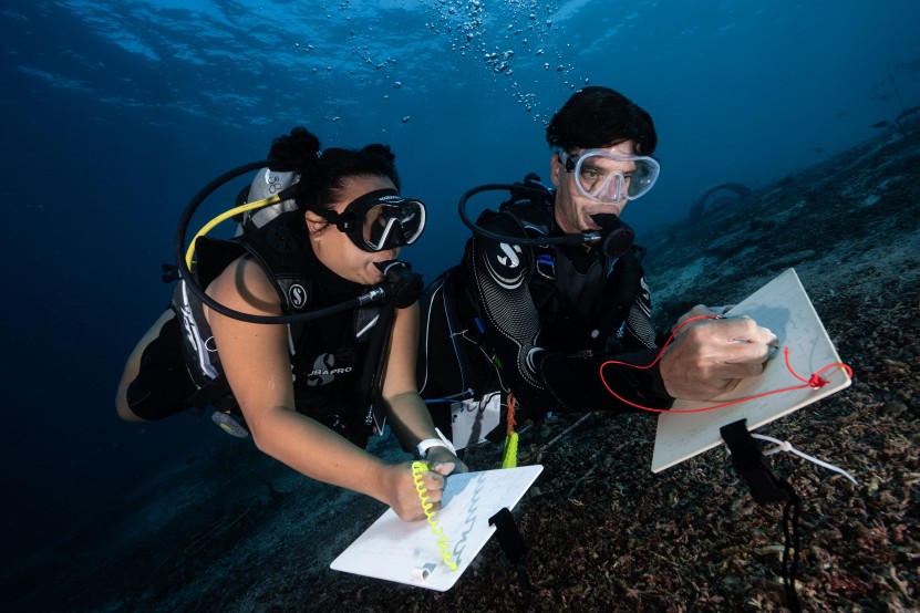 Scientific Diving Program at Blue Corner Dive