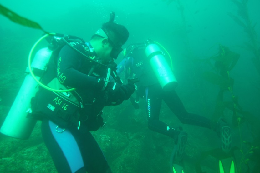 Cal Poly Pomona student divers are searching for critters and debris to clean up!