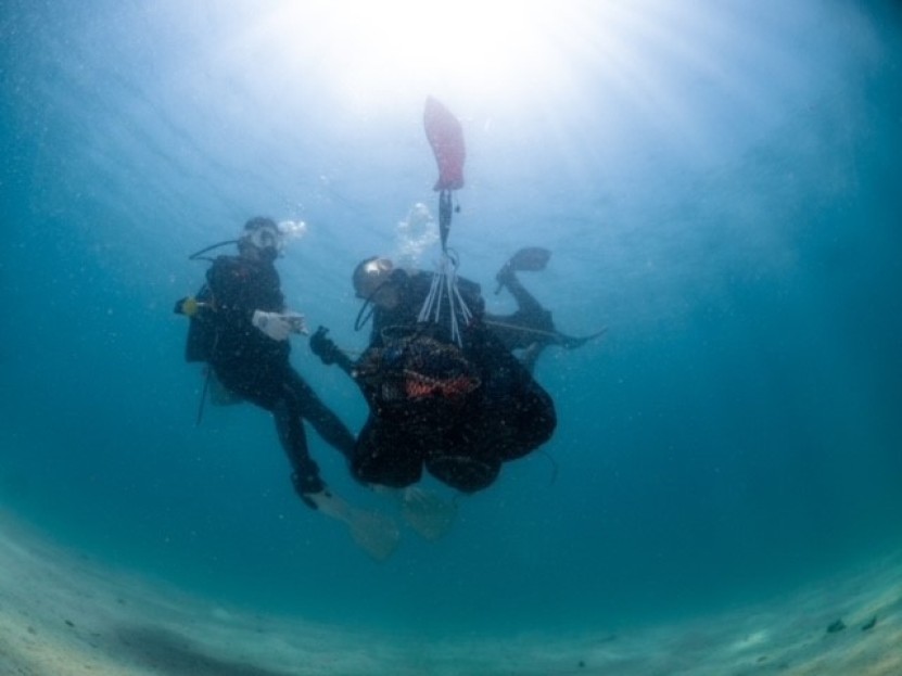 Dive Against Debris Sak Island Pattaya Thailand