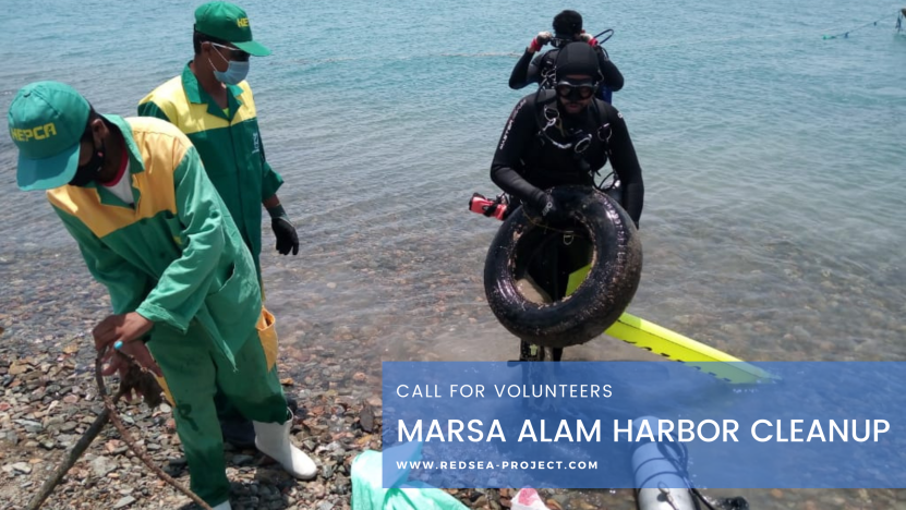 Marsa Alam Harbor Cleanup