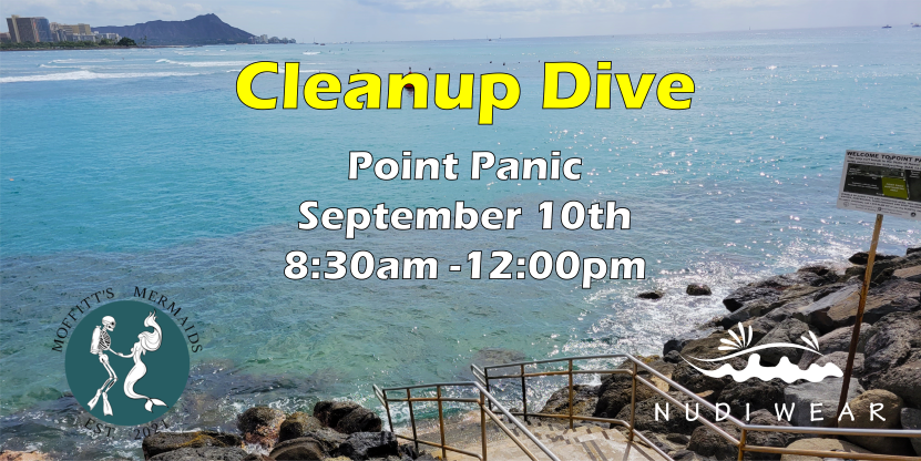 Point Panic Dive Clean up partnered with NudiWear