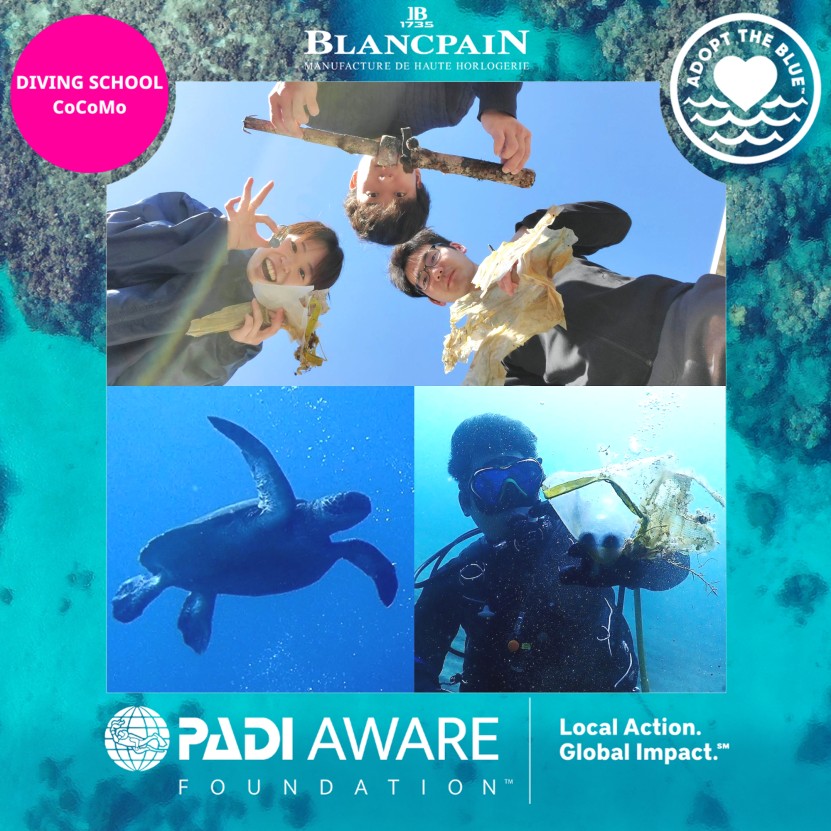 PADI DiveAgainstDebris ウミガメ暮らすビーチでビニールや漁具回収