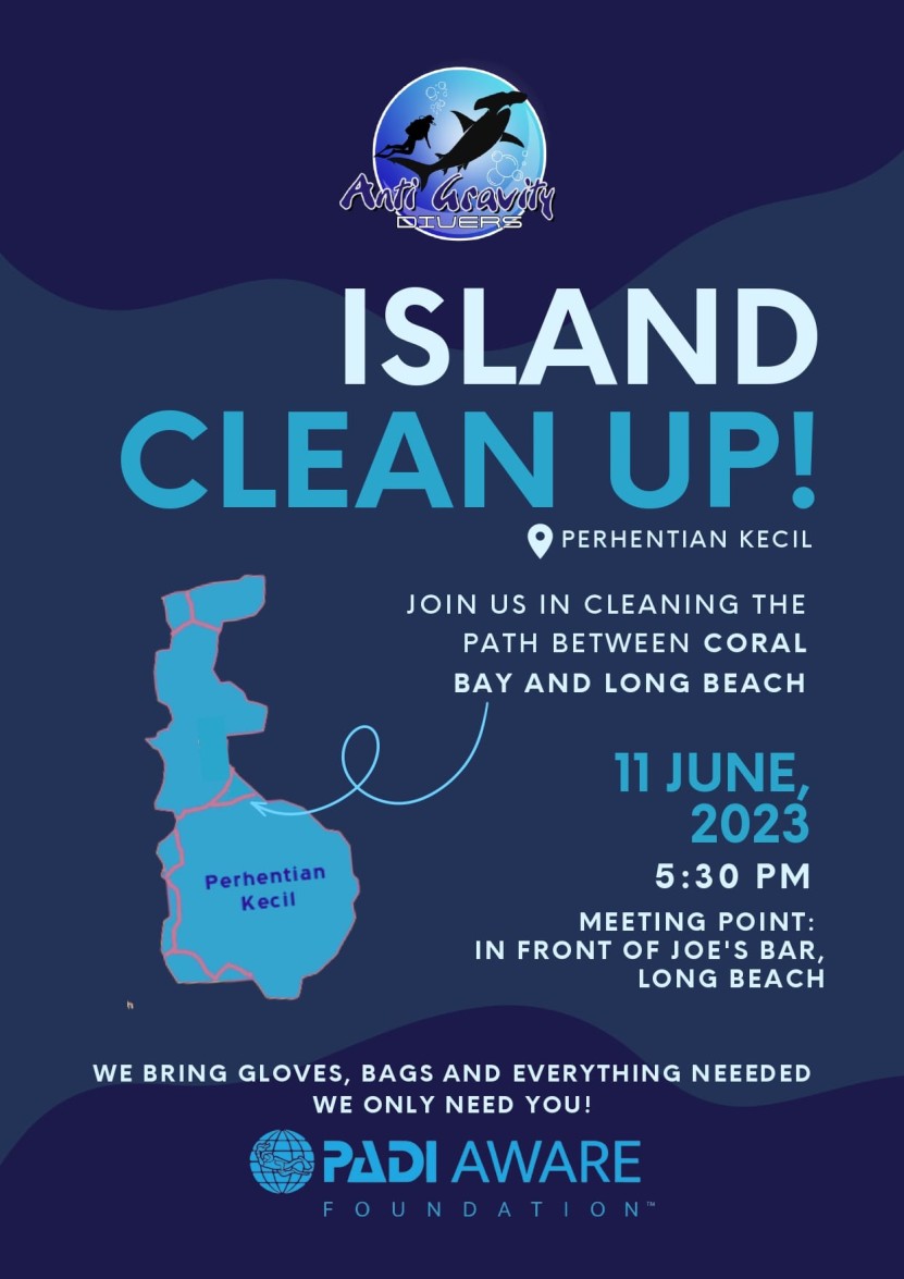 Island Cleanup Poster