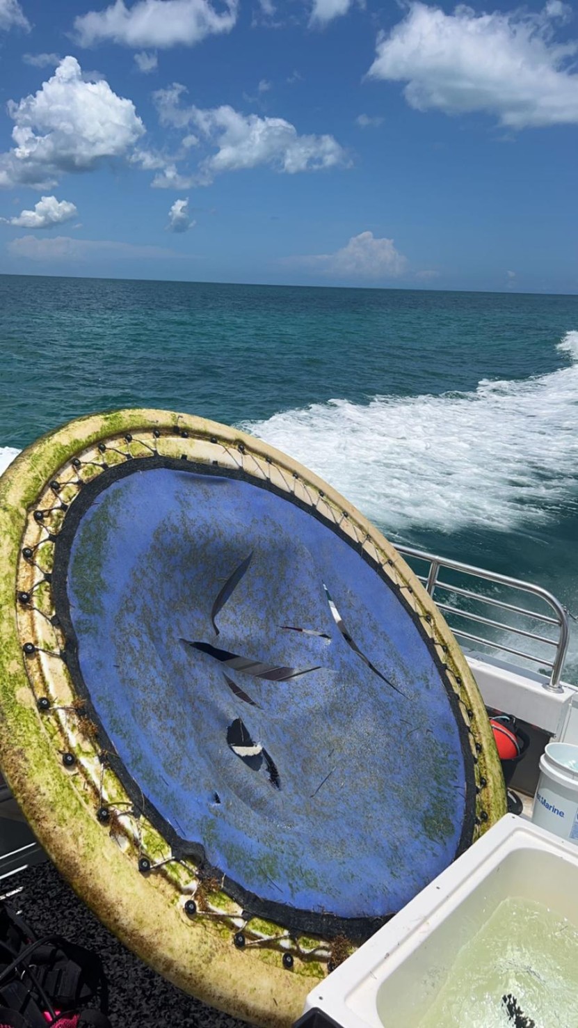 Retrieved debris onboard the Phoenix vessel 