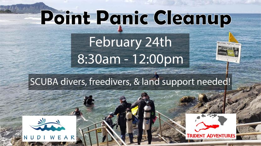 Flyer for Point Panic Cleanup on February 24th, 2023 with an image of divers entering the ocean via stairs with Diamond Head in the background