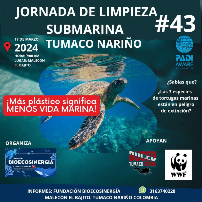 Jornada de limpieza submarina y de playas #43 invitación abierta para las personas qué desean participar!