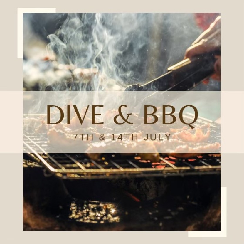 DIVE AND BBQ