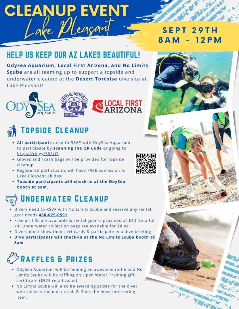 Cleanup Flyer