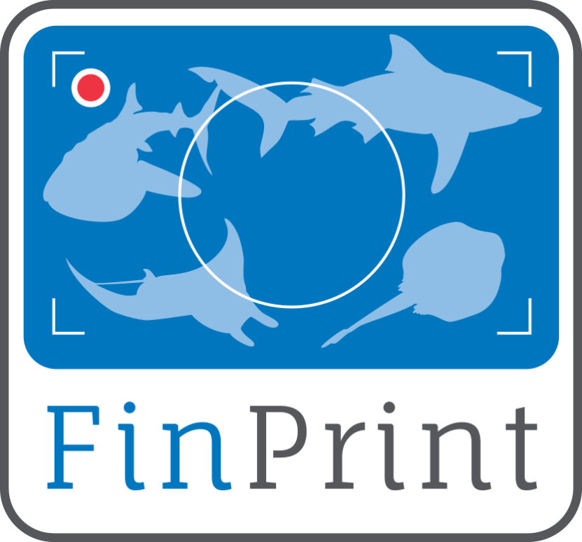 Global FinPrint visit Oceans 5 Gili Air