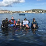 Ocean Turtle Diving Against Debris at Swanage Pier