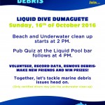 Liquid Beach & Underwater Cleanup poster