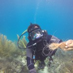 Dive Against Debris Cayo Blanco, Vieques