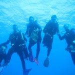 Diving Against Debris