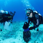 Amanda and Jamie show off their skills while diving against debris.