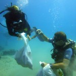 two divers collect debris