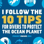 10-tips-for-divers-to-protect-the-ocean-planet-tenerife-diving-academy-kim-timmers