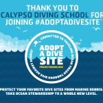 We have adopted a dive site!