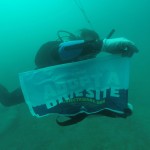 Loutraki Dive Club Actions 2017