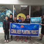 Coral planting project at Calypso Diving