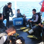 Coral Reef Assessment