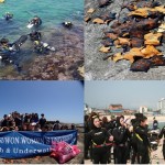 Underwater cleanup