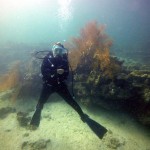 One of the dive at Koh Lipe, Thailand