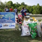 Beach Clean Up and Mangrove Planting