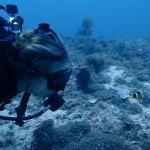 Around 18 meters, I am always delighted by Clown fish...:) 