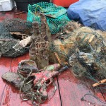 Dive Against Debris - Hong Kong Port Island (Chek Chau)