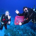 World Oceans Day 2019 at Camel Dive Club & Hotel, Red Sea, Sharm el Sheikh