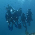 Dive Against Debris Course