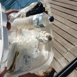 Just some of the trash at Fethiye marina that was floating around. 