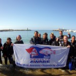 Underwater cleanup in Gran Canaria