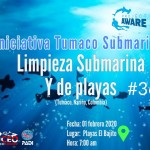 Limpieza de playas y submarina #36 