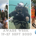 AWARE Week @ XTC Dive Center