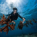 Coral Nursery with Marine Biologist Andrew Taylor 