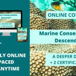 Marine Conservation: Descend