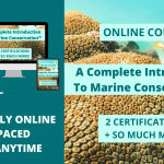 A Complete Introduction To Marine Conservation™ ONLINE COURSE