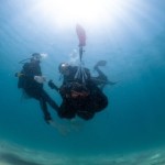 Dive Against Debris Sak Island Pattaya Thailand